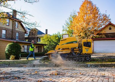 Residential Stump Grinding, Stump and Root Removal