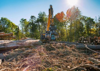 Tree Removal and Landing Clearing for Development and Pipelines
